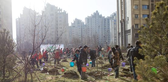 贺呼市mg冰球突破·凯旋门“我与小树共生长”树木认养运动圆满乐成