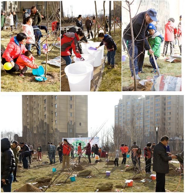 贺呼市mg冰球突破·凯旋门“我与小树共生长”树木认养运动圆满乐成